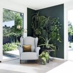 Biljke u vašem domu