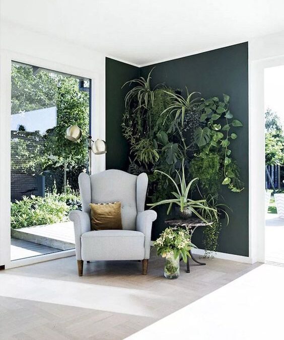 Biljke u vašem domu