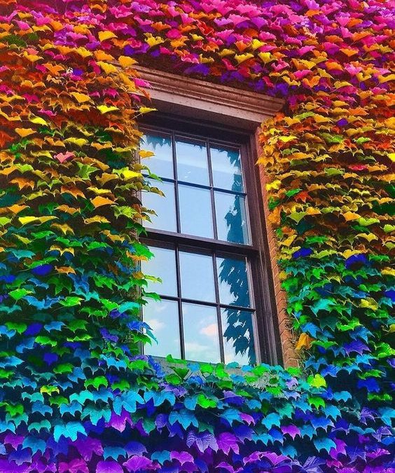 KAKO BOJE UTIČU NA RASPOLOŽENJE?