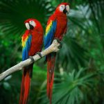 Paleta boja za zidove