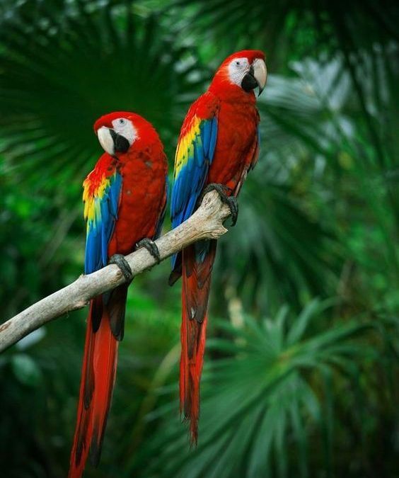 Paleta boja za zidove